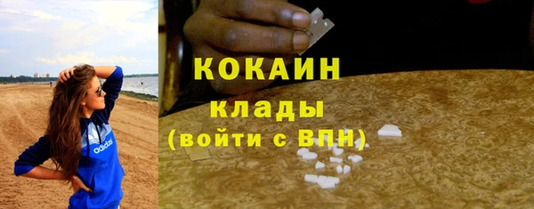 шишки Беломорск