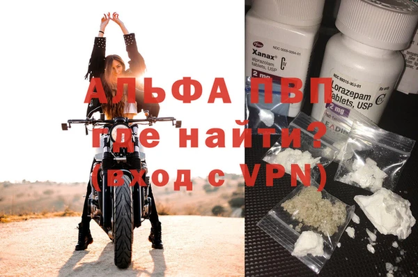 шишки Богданович